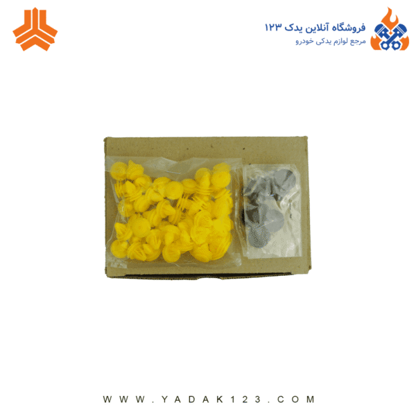 مجموعه رودری پراید X100  کامل اذین پارت - Image 19