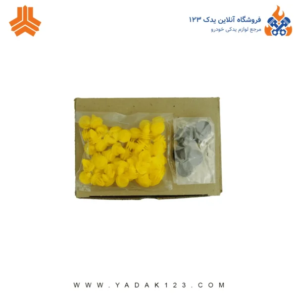 مجموعه رودری پراید X100  کامل اذین پارت - Image 21